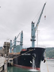 Dry Bulk Surveys