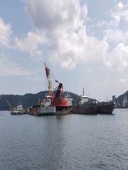 Dry Bulk Surveys